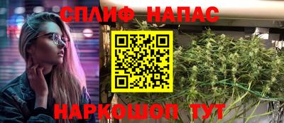 Альфа ПВП Моздок