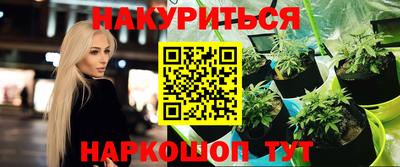 Альфа ПВП Моздок