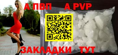 Альфа ПВП Моздок