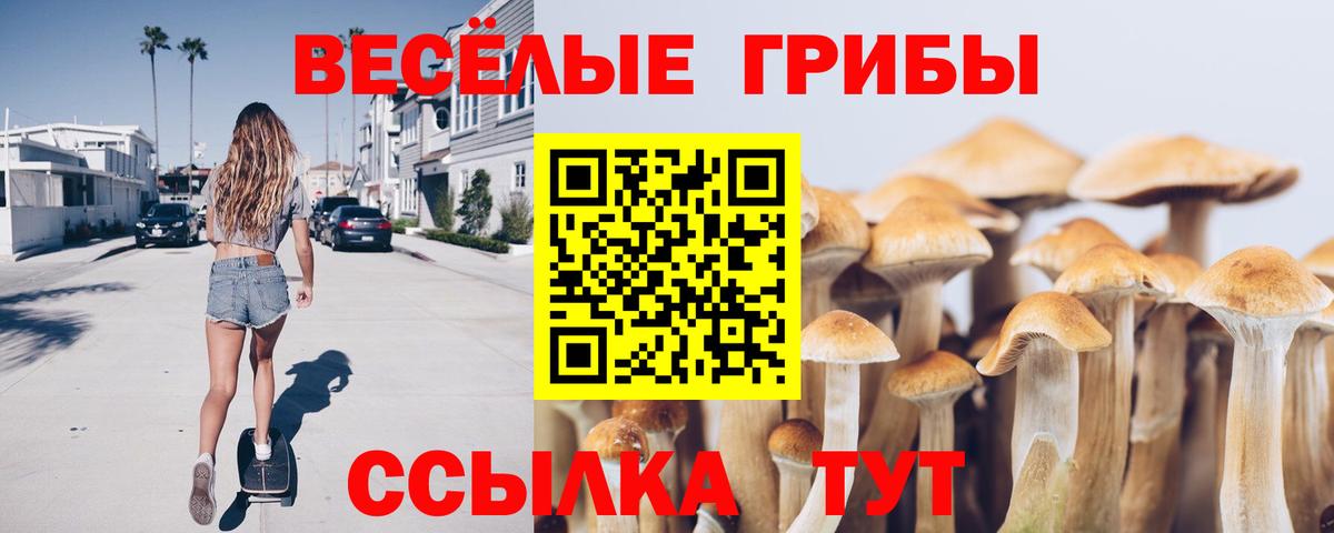 Галлюциногенные грибы Cubensis Владивосток